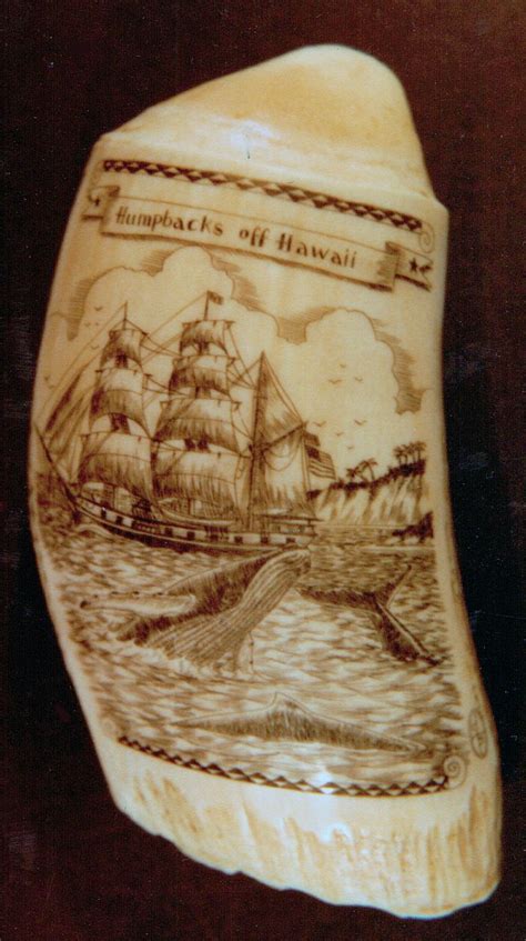 Whale Tooth Hunting Humpback Whales (1984) | How to take photos