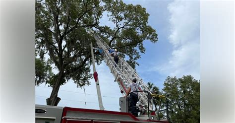 Marion Firefighters Rescue Tree Trimmer Trapped Above Ground Ocala