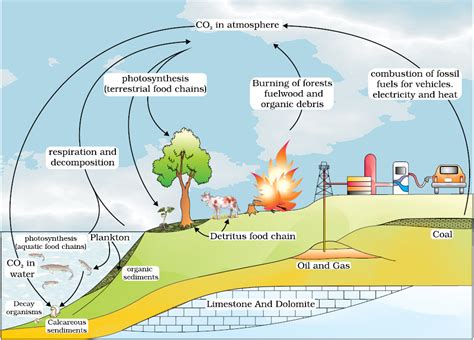 14 Ecosystem Biology