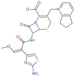 cefpirome ligand page iupharbps guide  pharmacology
