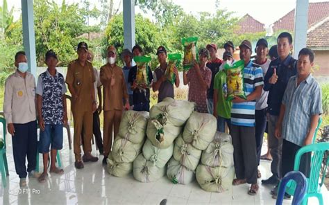 Pemkab Oki Gelontorkan Kg Benih Padi Untuk Petani Terdampak Banjir