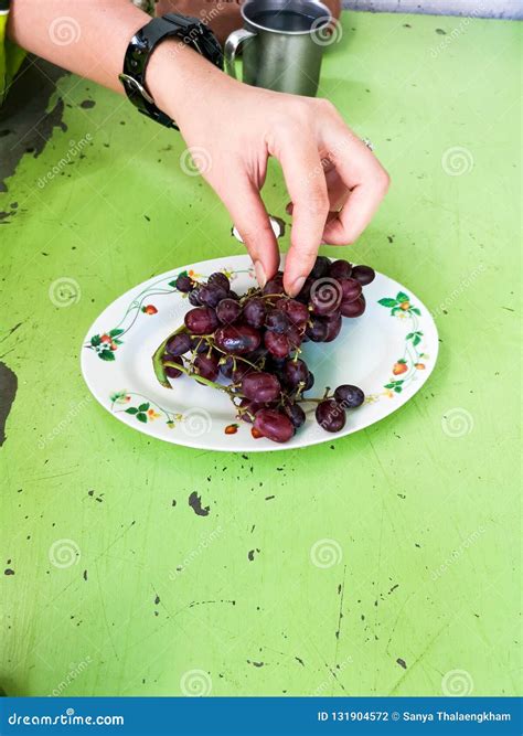 The hand is picking grapes stock photo. Image of white - 131904572