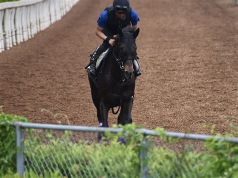 エタリオウなど、先週の入厩情報栗東トレセンニュース 競馬ニュース Netkeiba