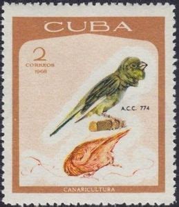 Stamp Domestic Canary Serinus Canaria Forma Domestica Cuba Canary