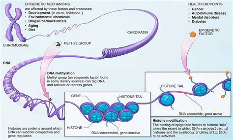 一文读懂 Rna 表观修饰 知乎