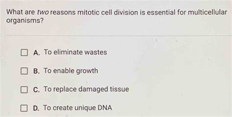 Solved What Are Two Reasons Mitotic Cell Division Is Essential For