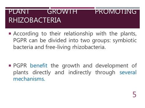 Beneficial And Harmful Effects Of Microorganisms
