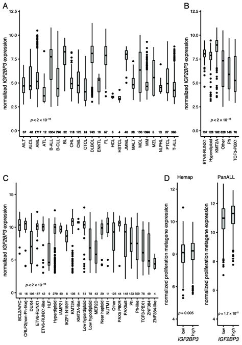 Expression Of Igf2bp3 Across Different Hematological Malignancies And Download Scientific