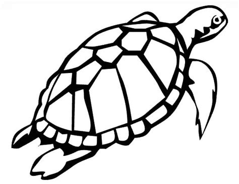 Free Printable Sea Turtle Template - PRINTABLE TEMPLATES