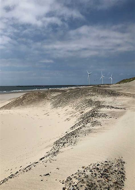 Sydstranden møllerne flankere indsejlingen My HvideSande Billeder