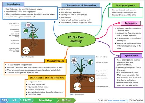 Grade Natural Science Term Topic