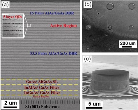 A Sem Image Of Inas Gaas Micropillar Laser Structure Inset Tem