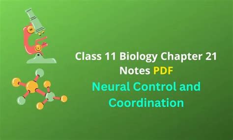 Ncert Class Biology Neural Control And Coordination Notes Pdf