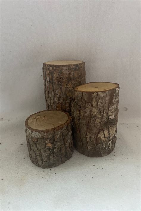 Rustic Wood Log Stumps Set Of 3 With 1 12 2 Diameter Etsy