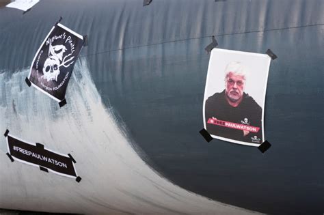 Anti Whaling Activist Paul Watson To Remain Detained In Greenland