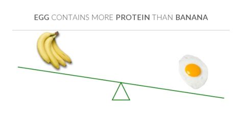 Compare Protein In Banana To Protein In Egg