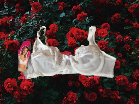 Suti Meia Ta A Demillus Lingerie Feminina Demillus Nunca Usado
