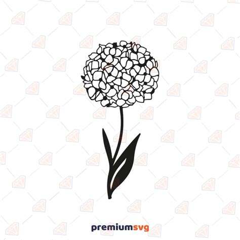 Hydrangeas Flower Svg Hydrangea Vector Files Premiumsvg