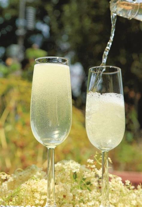 Sparkling Elderflower Wine Elderflower Recipes Elderflower Champagne