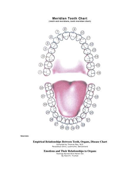 Free Printable Dental Tooth Chart