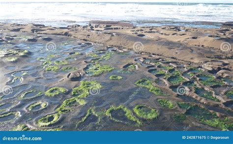 Eroded Tide Pool Rock Formation in California. Littoral Intertidal ...