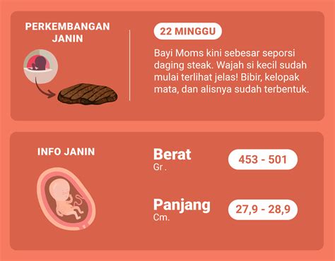 Perkembangan Janin Di Usia Hamil 22 Minggu Wajahnya Sudah Mulai