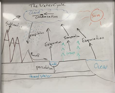 Wednesday Biogeochemical Cycles Ms Andersons Biology Class