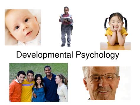 DEVELOPMENTAL PSYCHOLOGY Flashcards Quizlet