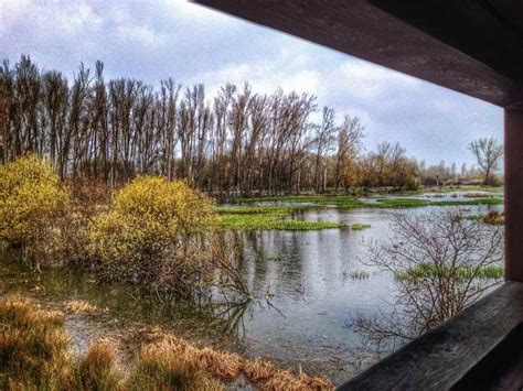 Parque Salburua Vitoria Gasteiz Paisaje Urbano Vitoria Gasteiz