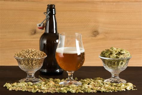 Understanding The 4 Main Ingredients Of Beer • The Growler Guys