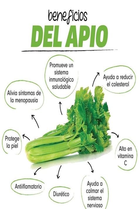 Beneficios Para La Salud De Comer Apio Diariamente Healthy