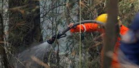 Incendios Forestales Azotan Al País Durante La Sequía Provocada Por El