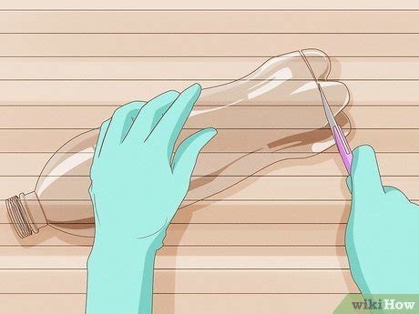 Formas De Crear Un Ecosistema En Una Botella Wikihow