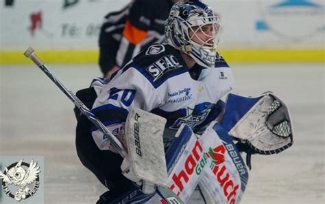 Hockey Sur Glace Ligue Magnus Ligue Magnus Demi Finale Match