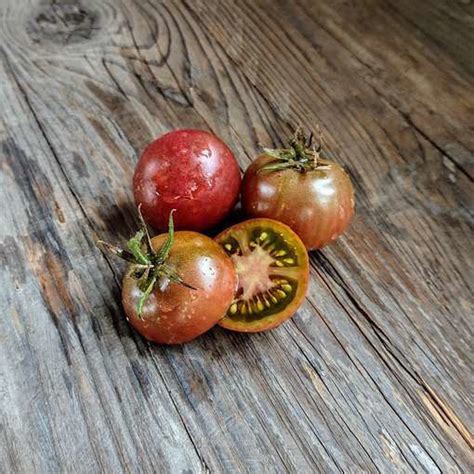 Velvet Night Dwarf Tomato Project Meraki Seeds