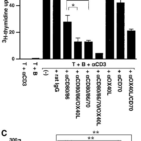 Expression Of Ox40 And Ox40l On Activated T Cells Splenic T Cells 3