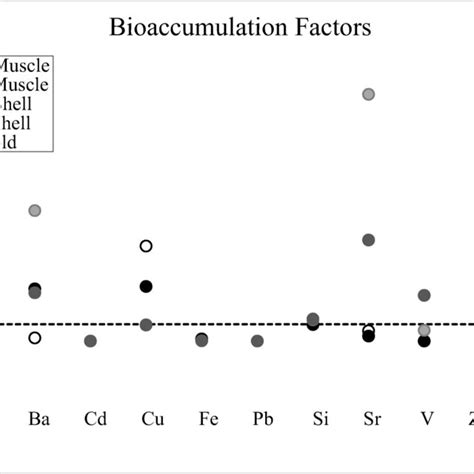 Biotasediment Accumulation Factors BSAFs In The Shell And Muscle