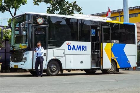 Promo Damri Harhubnas Diskon Perjalanan Sepanjang September Dari