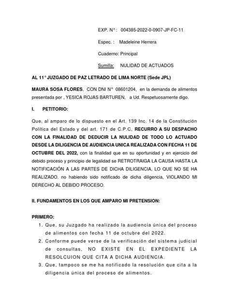 1maura Sosa Nulidad De Actuados Pdf Ley Procesal Nulo Ley