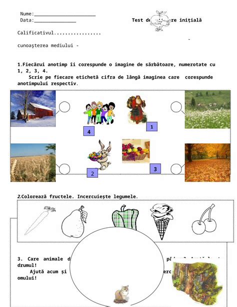 Doc Test De Evaluare Initiala Dokumen Tips