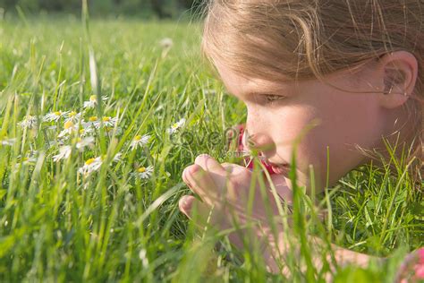 Girl Lying On The Grass Picture And HD Photos | Free Download On Lovepik