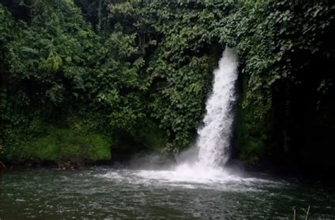 Wisata Air Putih Lebong Nikmati Keindahan Air Terjun Yang Menakjubkan