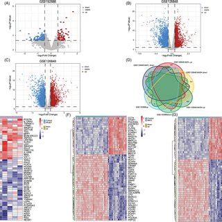 Identification Of Differentially Expressed Genes DEGs A The