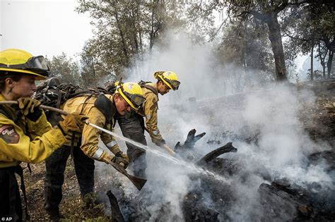 California S Oak Fire Still Contained Firefighters Battle