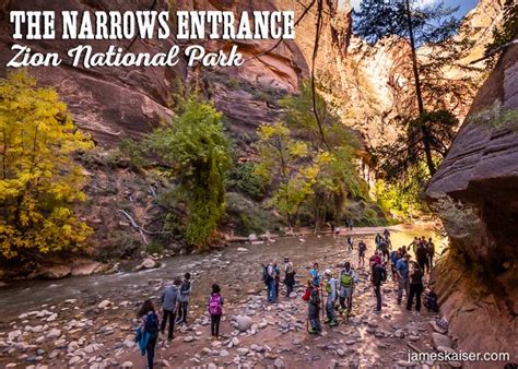 Exploring Riverside Walk [Insider Guide] • Zion National Park