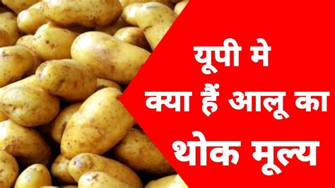 क्या चल रहा है आलू का भाव। टॉप 10 आलू मंडी के भाव। Potato Rate Today