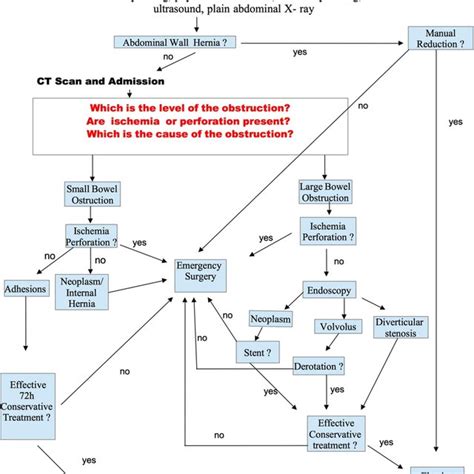 Bowel Obstruction Care Plan