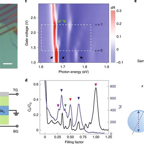 Optical Detection Of Electronic Anisotropy Ab Optical Microscope Download Scientific Diagram