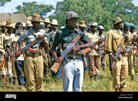 ZIMBABWE RHODESIA 1980 ZANU PATRIOTIC FRONT FIGHTERS FOR MUGABE COME IN FROM THE BUSH AS PART OF ...