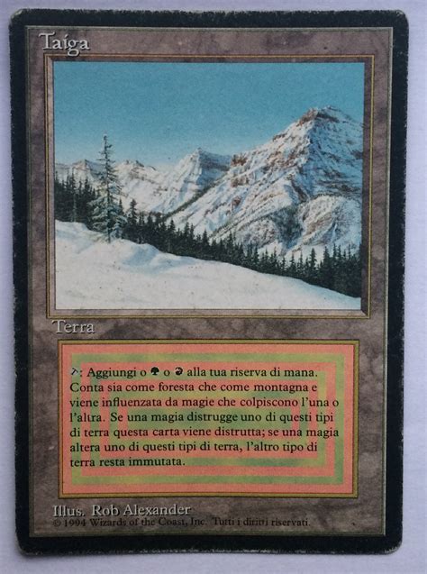 1x FBB Taiga Dual Land | Magic the Gathering | Black Border Italian